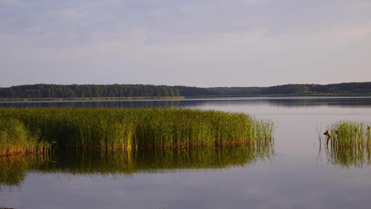 Yacht Club Apartamenty Radzyn Экстерьер фото